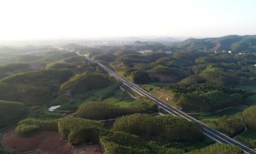 吳圩機(jī)場至大塘高速公路